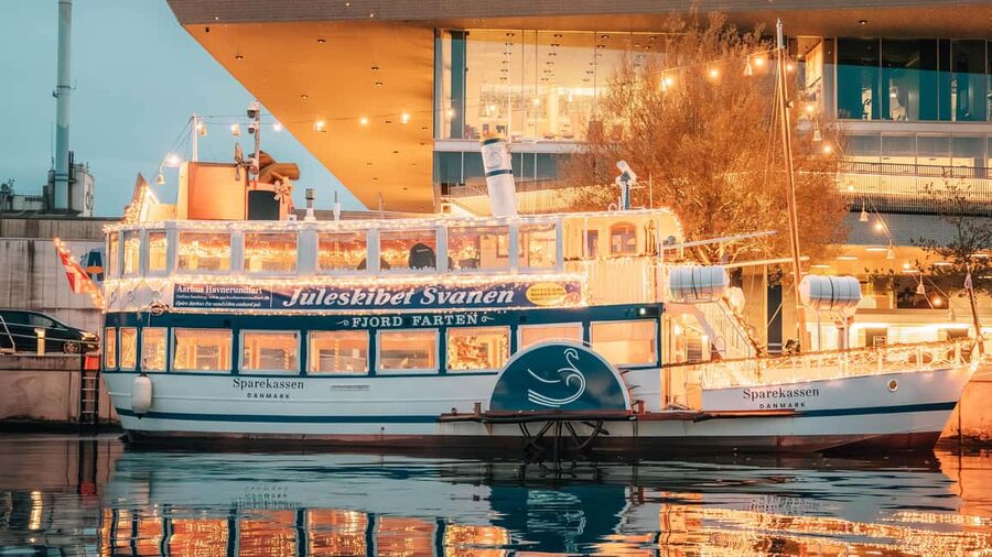 Aarhus: Guided Harbor Cruise with Iconic Landmarks & Aarhus - The guide’s stories, from Viking roots to today