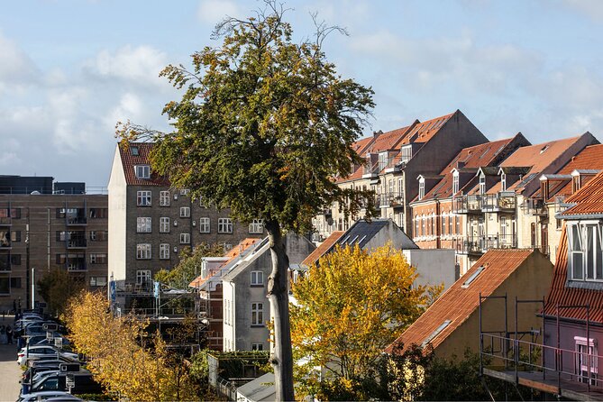 Aarhus Private Custom Walking Tour With A Guide - Stop 4: Latinerkvarteret, Mejlgade Streets, and the Smørrebrød Mood