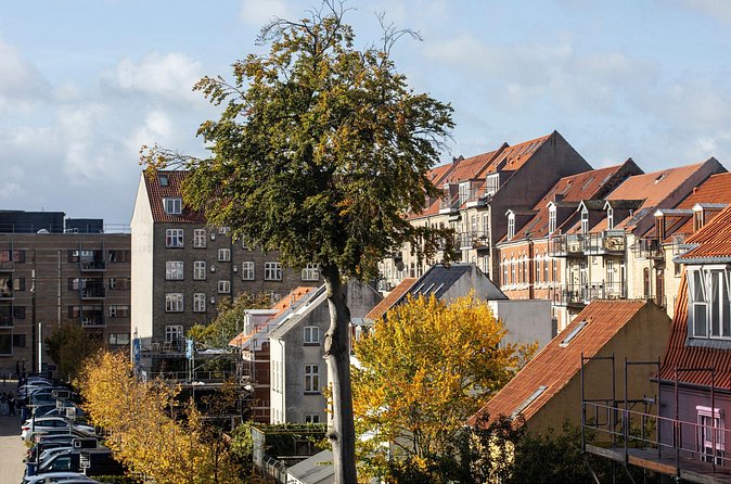 Aarhus Private Custom Walking Tour With A Guide - Duration That Matches Real Schedules, From Quick Intro to Half-Day