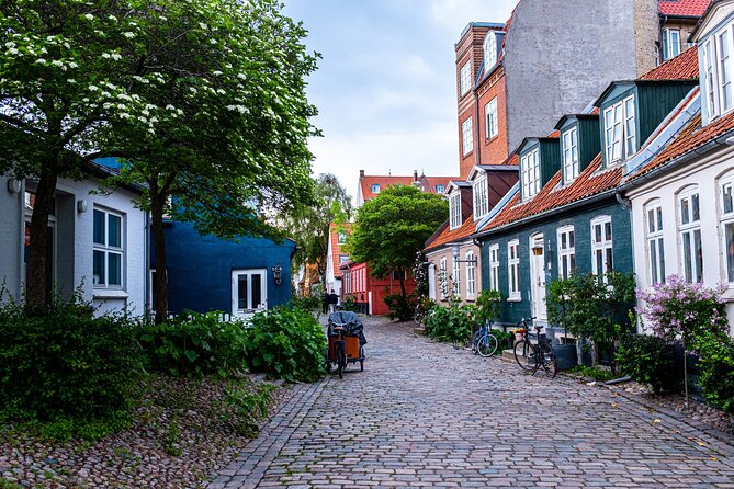 Aarhus Private Walking Tour with a Local - Price and value, what $66.09 per person really covers