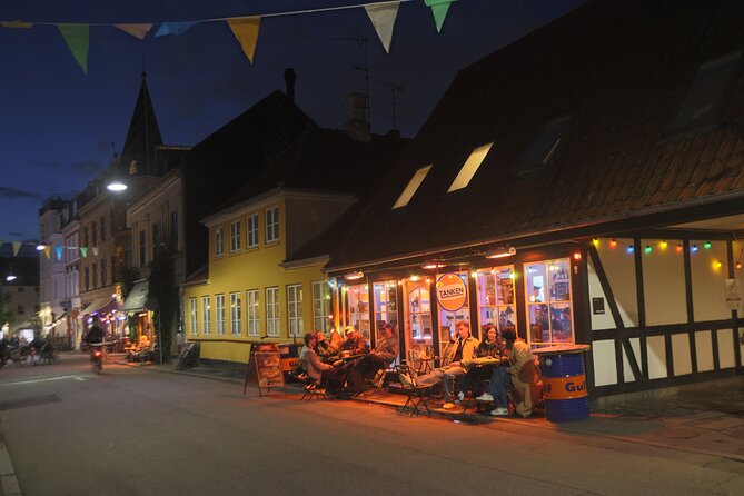 Aarhus Walking Tour: From Viking Village to Metropolis - Price and value at about $32 for 3 hours