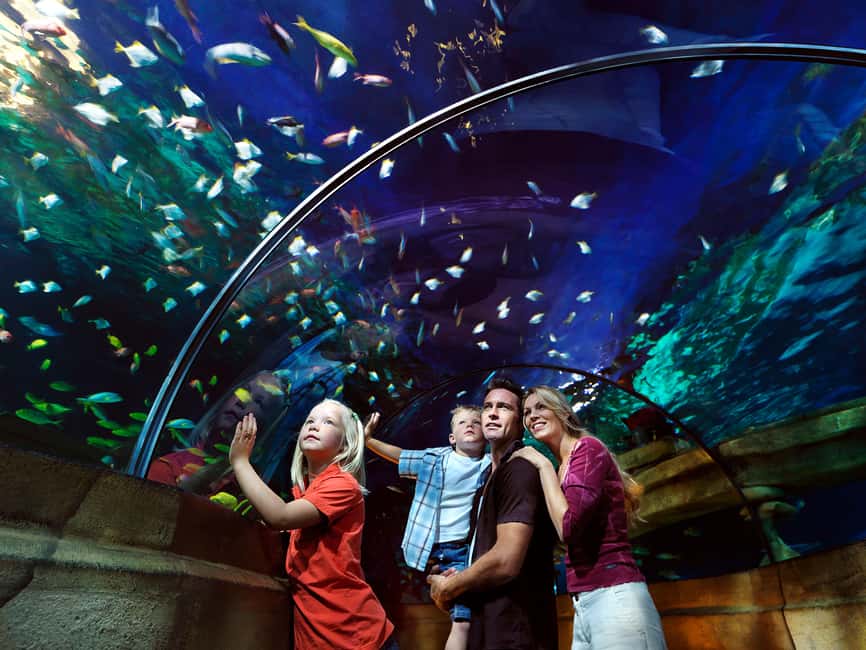 Billund: 1-Day Ticket to LEGOLAND® with All Rides Access - Baby Care Center and Small-Parent Wins That Matter