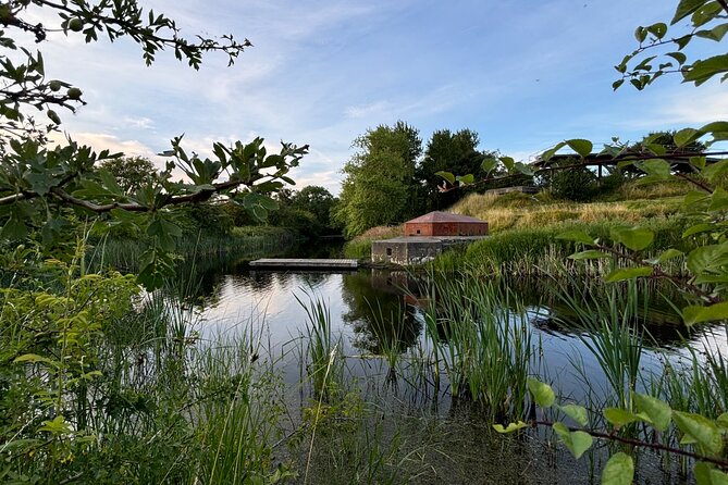Bird Watching Private Tour in Copenhagen - Binoculars, fieldscope, and why it changes everything