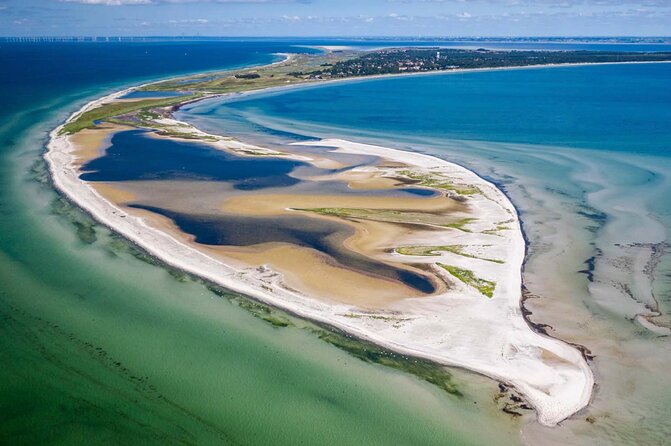 Bird Watching Private Tour in Copenhagen - From Copenhagen Central Station to the nature reserves
