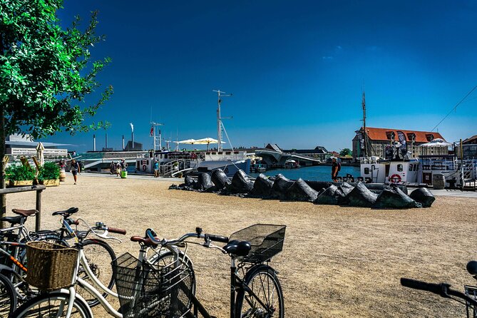 Complete Copenhagen Private Bike Tour - Who this bike tour is for, and who should skip it