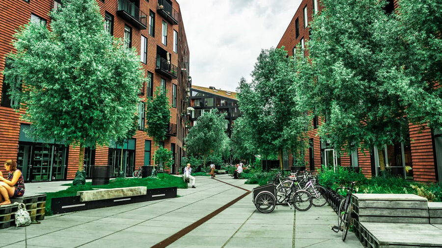 Copenhagen: 1.5-hour Private Walking Tour of Christianshavn - Christianshavn Feels Like a Side Door Into Real Copenhagen