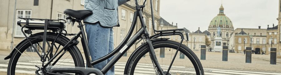 Copenhagen: 3 Hour Extended Grand E-Bike Guided Tour - Key highlights on this Copenhagen e-bike ride