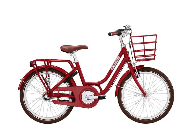 Copenhagen Bike Rental — Explore the City on Two Wheels - Price and value: what you get for about $22.80