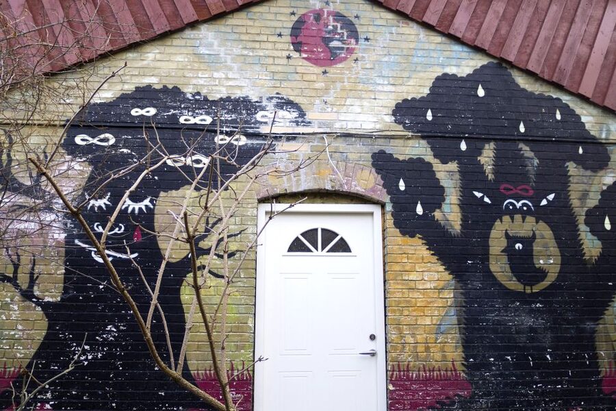 Copenhagen: Guided Tour of Vesterbro and Christianshavn - Istedgade and Star Radio, where place names carry meaning