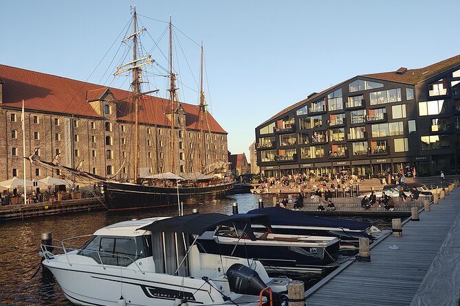 Copenhagen: Harbor Architecture Private Walking Tour - Price and logistics, and whether it’s good value for two