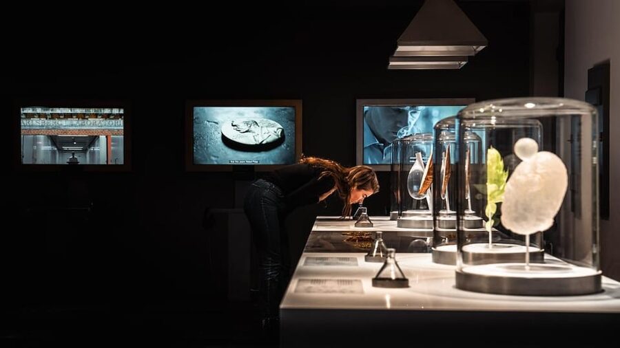 Copenhagen: Home of Carlsberg Experience Entry Ticket - Optional add-ons: when you want more than the basic exhibition