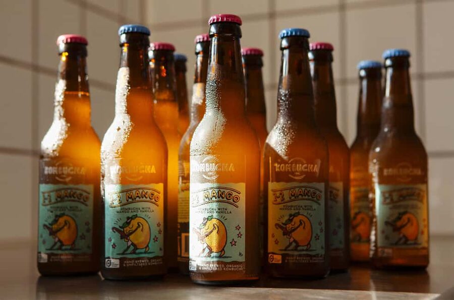 Copenhagen: Locally Brewed Kombucha Tasting Experience - What to Pay Attention to While You Sip Outdoors