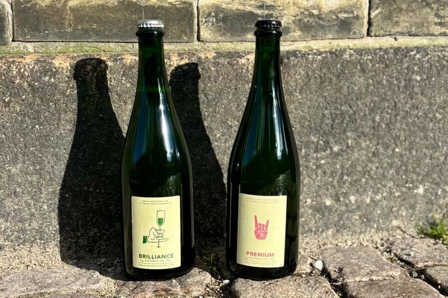 Copenhagen: Locally Brewed Kombucha Tasting Experience - Pairings and Q&A With the Brewer