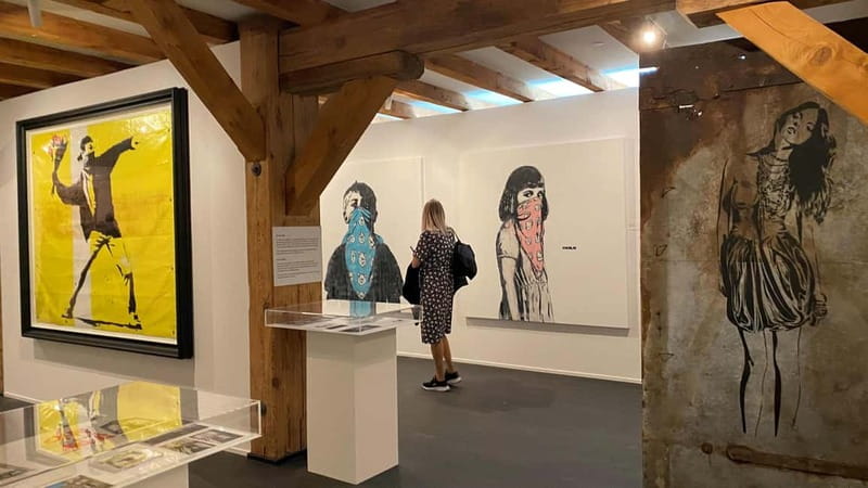 Copenhagen: MACA Museum: Banksy & Street Art Entry Ticket - The “20th and 21st century” street art mix: more than one style