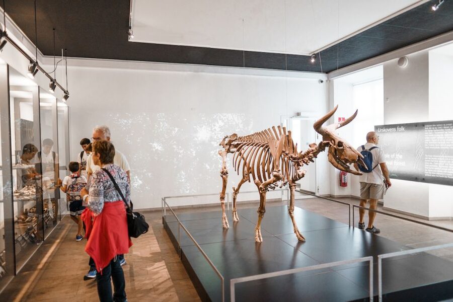 Copenhagen: National Museum of Denmark Entry Ticket - Key takeaways before you go