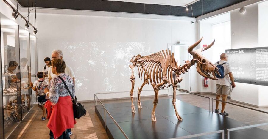 Copenhagen: National Museum of Denmark Entry Ticket - A smart route through Denmark’s Stone Age, Bronze Age, and beyond