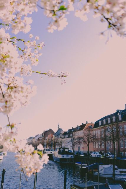 Copenhagen private 3h walking tour - What you get for the money: $488 per group up to 10