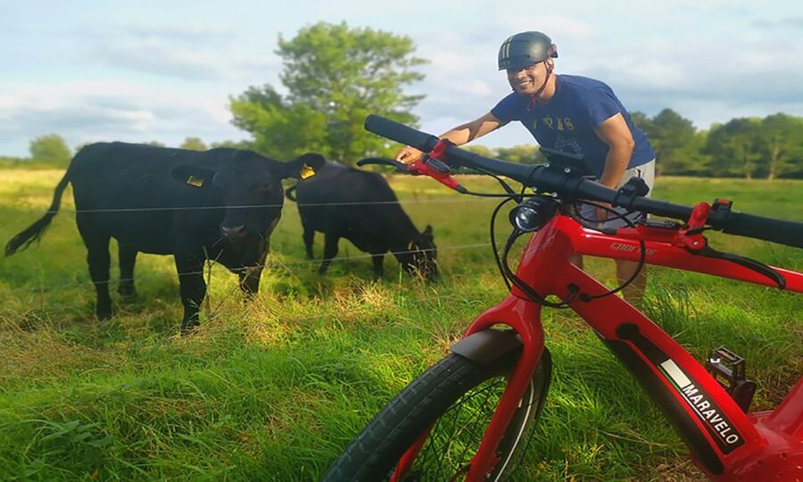 Copenhagen: Private Forgotten Giants E-Bike Treasure Hunt - Høje-Taastrup feature block (80 minutes): more time, more reveals