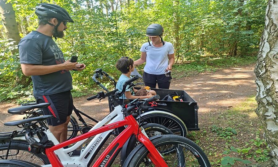 Copenhagen: Private Forgotten Giants E-Bike Treasure Hunt - E-bikes, safety gear, and how the tour pace really feels