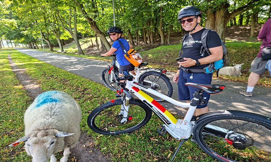 Copenhagen: Private Forgotten Giants E-Bike Treasure Hunt - Price and value: is $213 per person worth it?