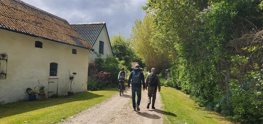Copenhagen: Stevns Klint Geological Hot Spot UNESCO Tour - Comfort tips that actually help on this route