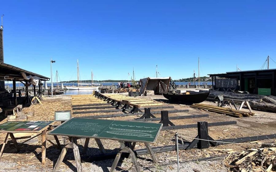 Copenhagen: Tour of Roskilde, the Viking city in Spanish with tickets - Key Highlights You’ll Feel on the Day