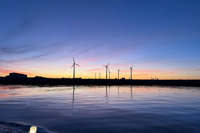 Discover Copenhagen Private Boat Tour Experience - Copenhill, Reffen, and Nordhavn’s Future Cities