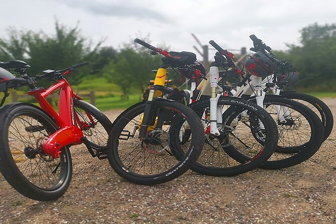 E-biking Northern Forgotten Giants' s Adventure - How the private guide and flexible pacing actually help