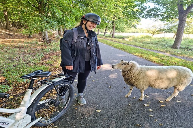 E-biking Northern Forgotten Giants' s Adventure - Timing and location: what you need to know before you set off