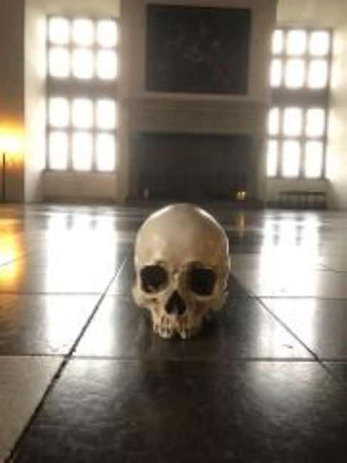 Easy Pace Tour of Kronborg Castle and Frederiksborg Palace - Key things to know before you go