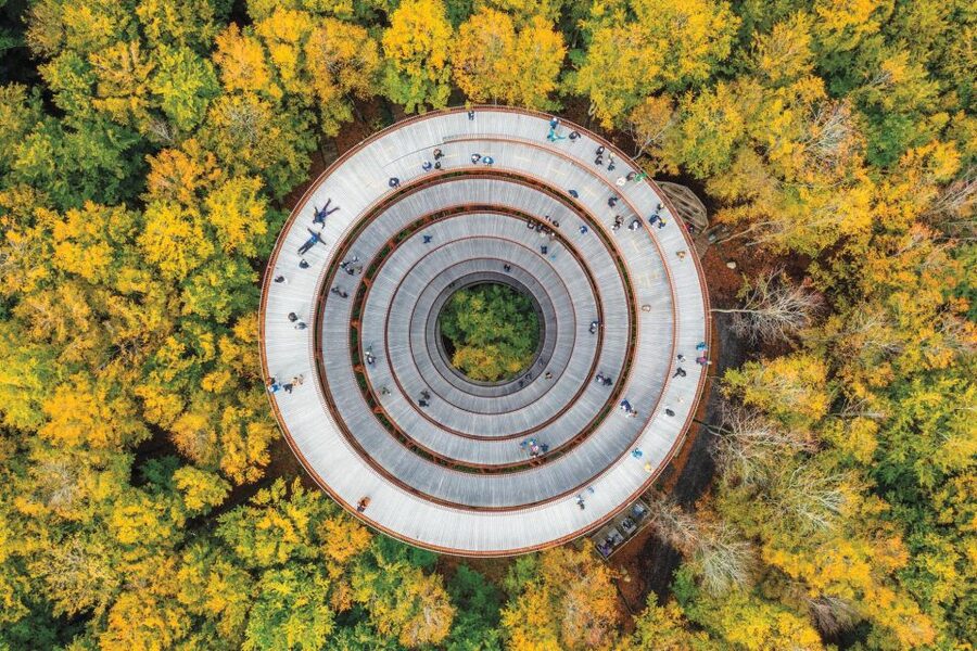From Copenhagen: Round-Trip to Møns Klint and Forest Tower - Key highlights I’d circle on your itinerary