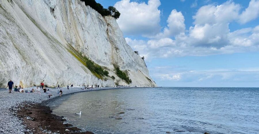 From Copenhagen: Round-Trip to Møns Klint and Forest Tower - My verdict: should you book the Copenhagen to Møns Klint and Forest Tower day trip?