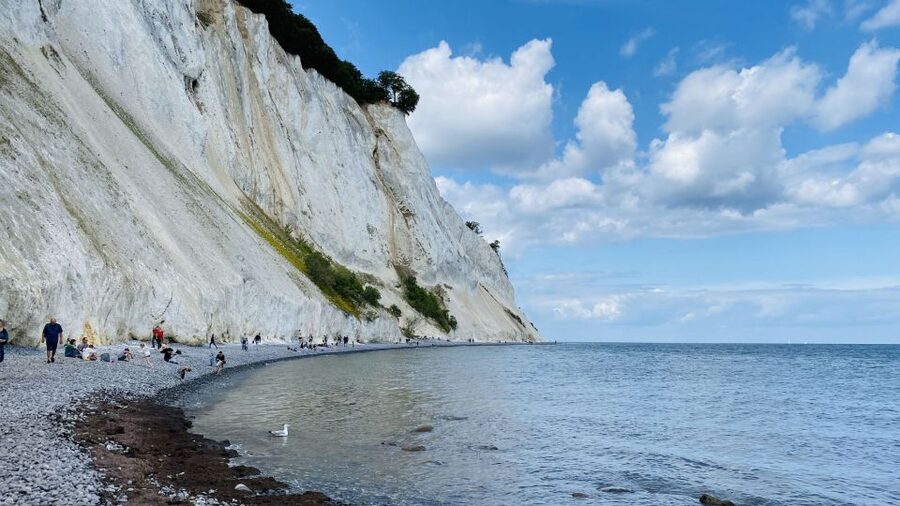 From Copenhagen: Round-Trip to Møns Klint and Forest Tower - Lunch at Café Møns Klint: convenient, but don’t assume it’s cheap