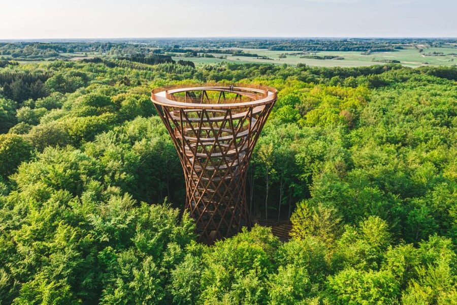 From Copenhagen: Round-Trip to Møns Klint and Forest Tower - Timing and logistics: an 8-hour loop with real physical payoff