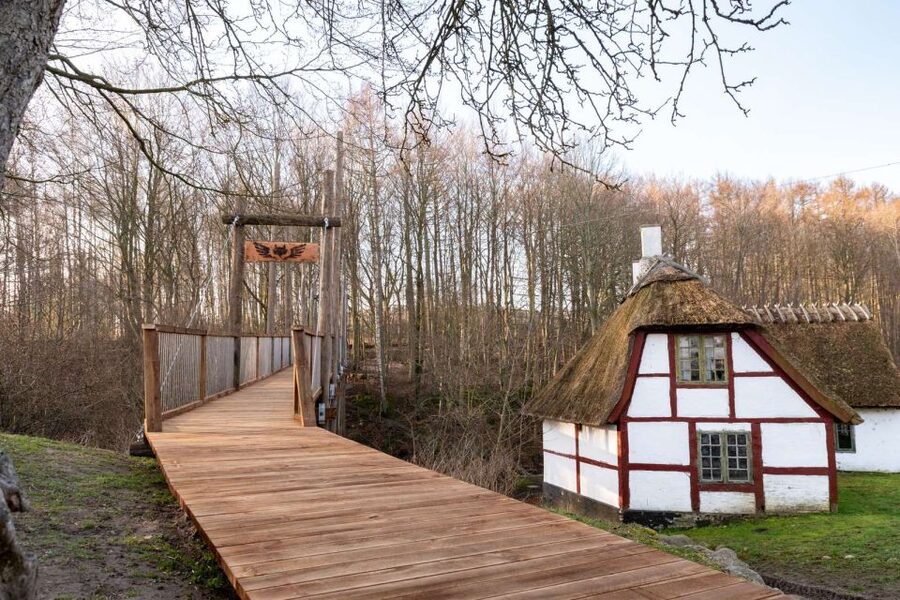 From Copenhagen: Round-Trip to Møns Klint and Forest Tower - Who should book this, and who should think twice
