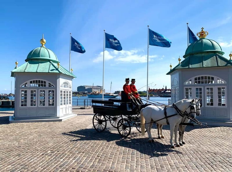 Guided SegwayTour of Copenhagen - 1 hour guided Tour - Christmas markets, winter light, and why the timing feels fun
