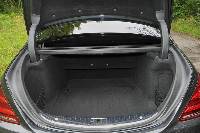Luxury Minivan Transfer from Copenhagen Port to Copenhagen CPH - Should You Book This Copenhagen Port-to-Airport Transfer?