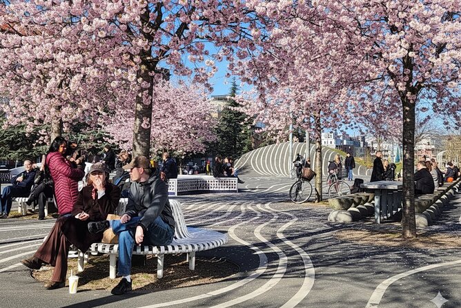 Nørrebro Walking Tour – The World’s Coolest Neighborhood - Key points before you go