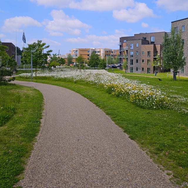 Odense: City walk - The new green Odense - City development - Albani Torv: starting in the old part of town
