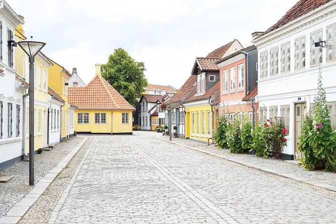 Odense Unveiled: A Timeless Private Tour - Price and value: where your money goes in real life
