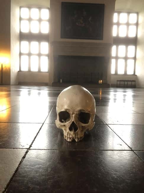 Out of Copenhagen; 2x Castles, Cathedral & (Viking Ships) - Kronborg Castle: Shakespeare’s Denmark, Plus the UNESCO Real Deal