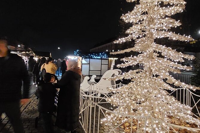 Private 90-Min Ultimate Christmas: Tivoli & Hygge - Who should book this private Tivoli Christmas tour