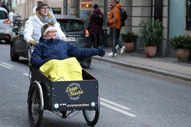 Private Copenhagen Family Cargo Bike Tour – Winter Adventure - What you really get in 3 hours