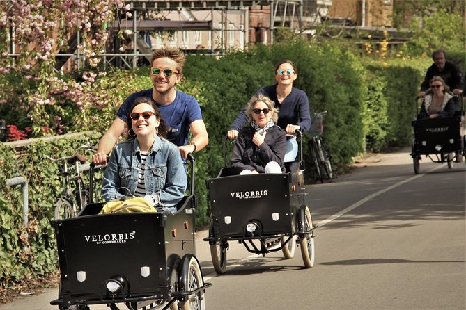 Private Copenhagen Family Cargo Bike Tour – Winter Adventure - Rosenborg Castle area: royal corners plus art and gardens