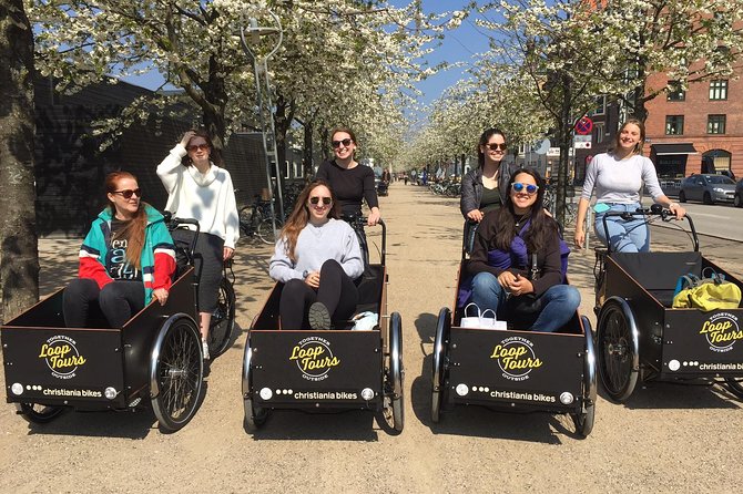 Private Copenhagen Family Cargo Bike Tour – Winter Adventure - Kastellet and the Little Mermaid: fortress geometry and the famous story
