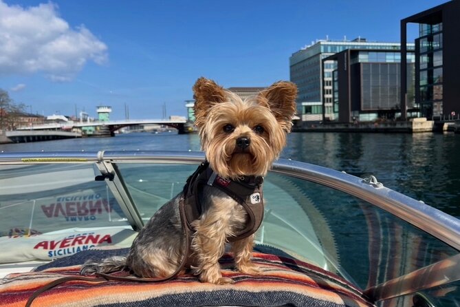Private Copenhagen Tour with Gitzmo Boat - What the guide adds, and why it matters