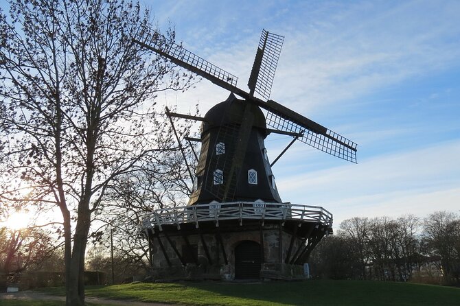 Private Direct Transfer From Copenhagen to Malmo - Key highlights before you book