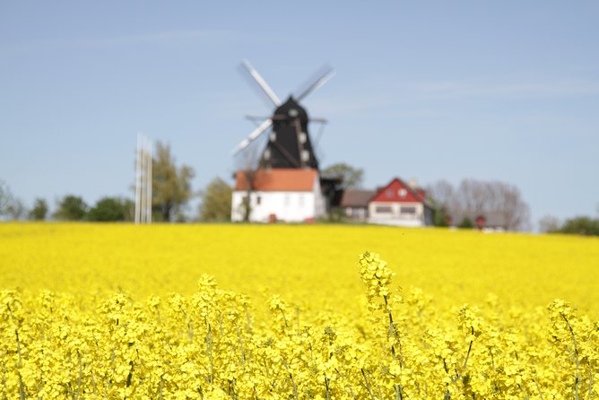 Private tour Copenhagen to Lund & Malmö City daytrip - Walking Malmö: Old and New in Two Hours