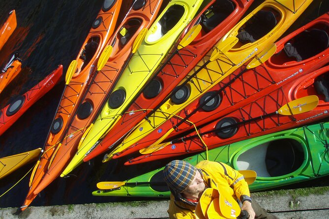 Rental Single Sea Kayak at Kalvebod Bolge - Key things to know before you paddle