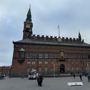 Stroll through the heart of Copenhagen - private guided tour in French - Who this tour suits best (and who should choose something else)